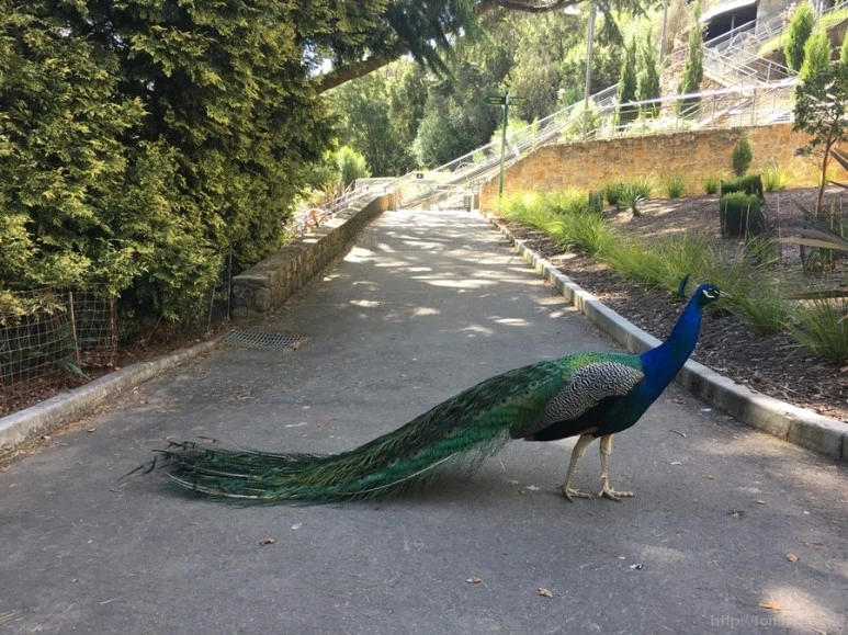 2016-11-19_at_13.17.43.jpg?type=w773