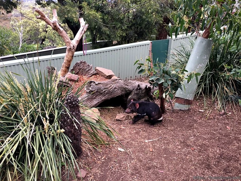 2016-11-25_at_08.42.50.jpg?type=w773