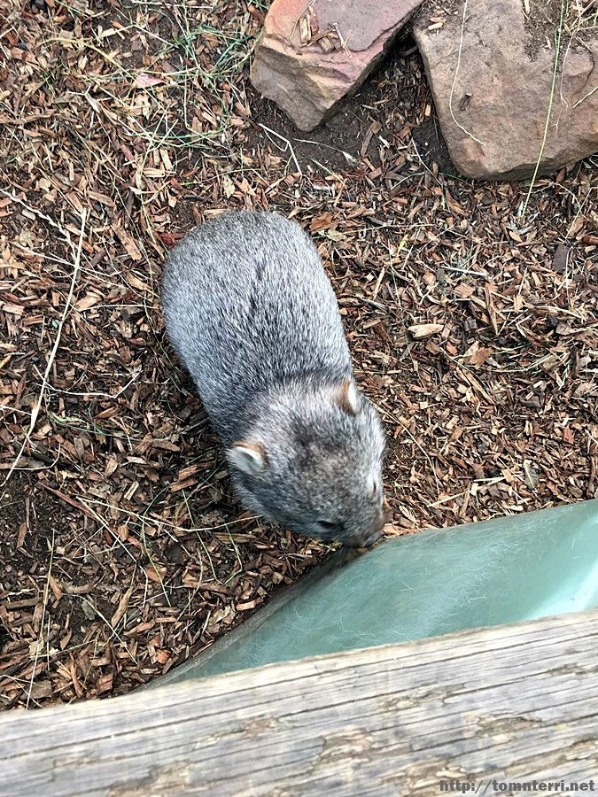 2016-11-25_at_08.15.11.jpg?type=w773