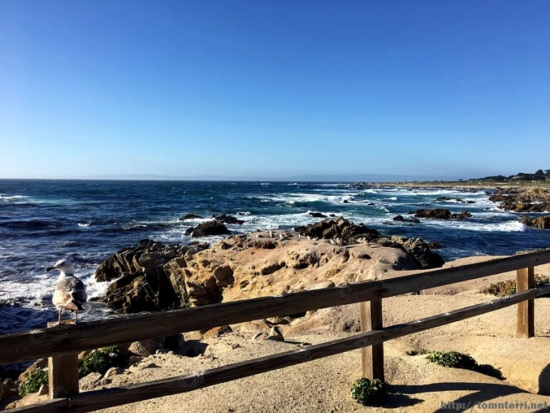 2017-05-02_at_09.54.24.jpg?type=w773