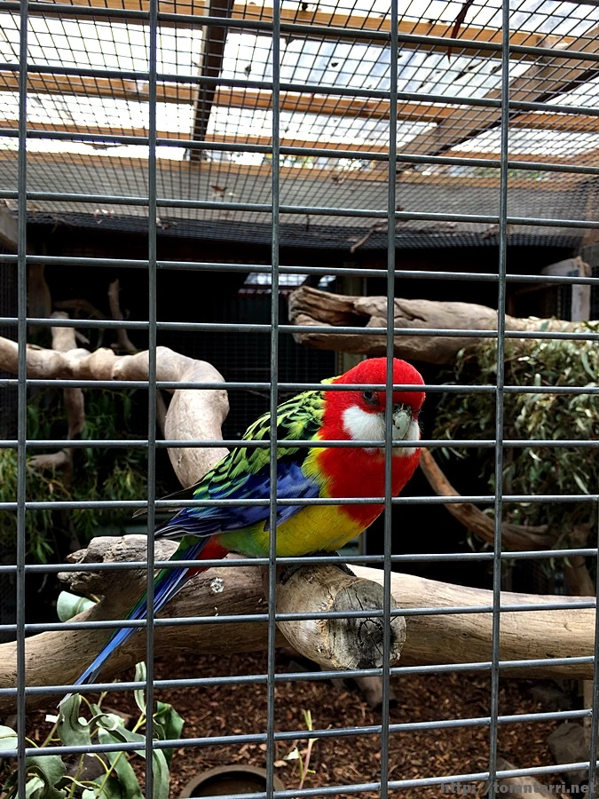 2016-11-25_at_08.20.35.jpg?type=w773