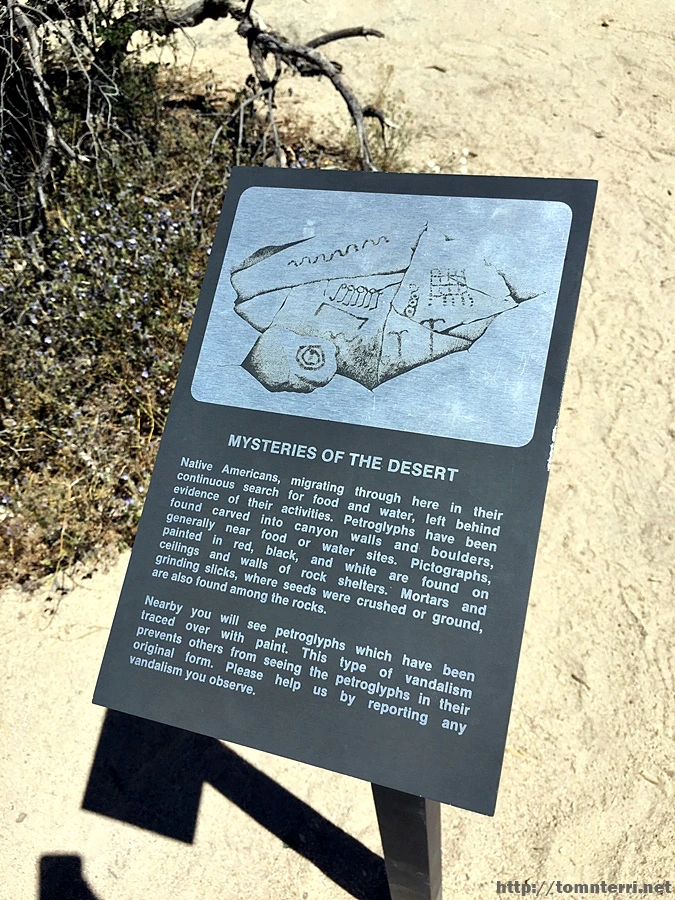 2017-05-05_at_06.17.32.jpg?type=w773