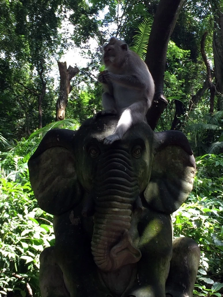 image_6742692211476019059048.jpg?type=w773