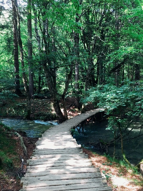 image_5543013091469328724847.jpg?type=w773