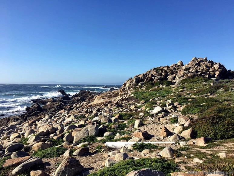 2017-05-02_at_09.36.51.jpg?type=w773