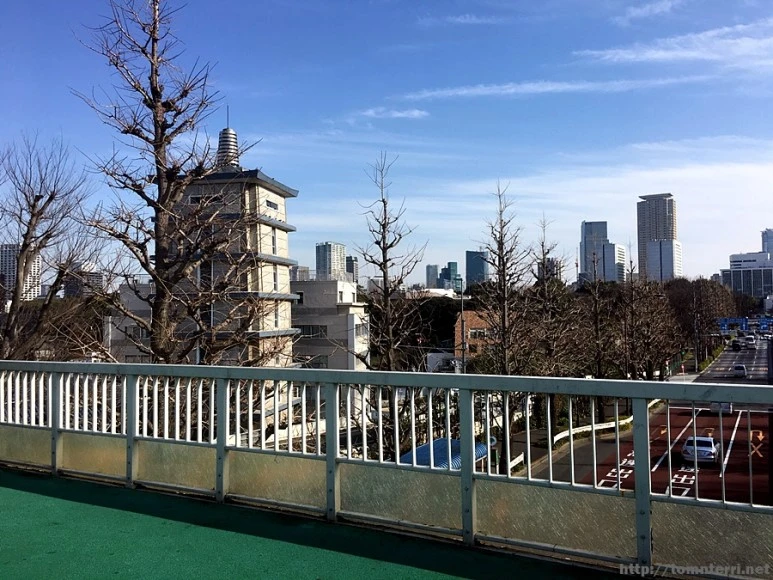 2017-03-04_at_14.37.06.jpg?type=w773