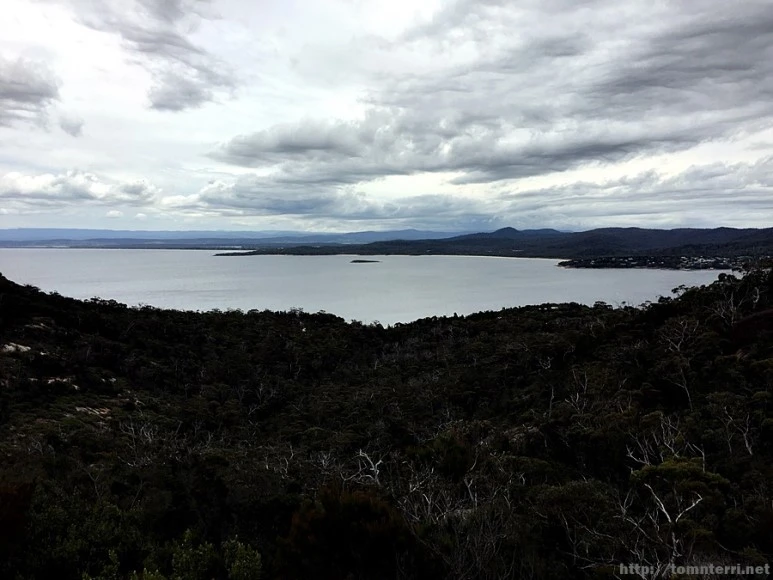 2016-11-22_at_10.10.45.jpg?type=w773