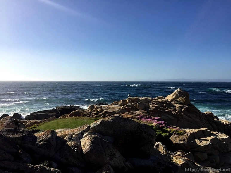 2017-05-02_at_09.28.01.jpg?type=w773