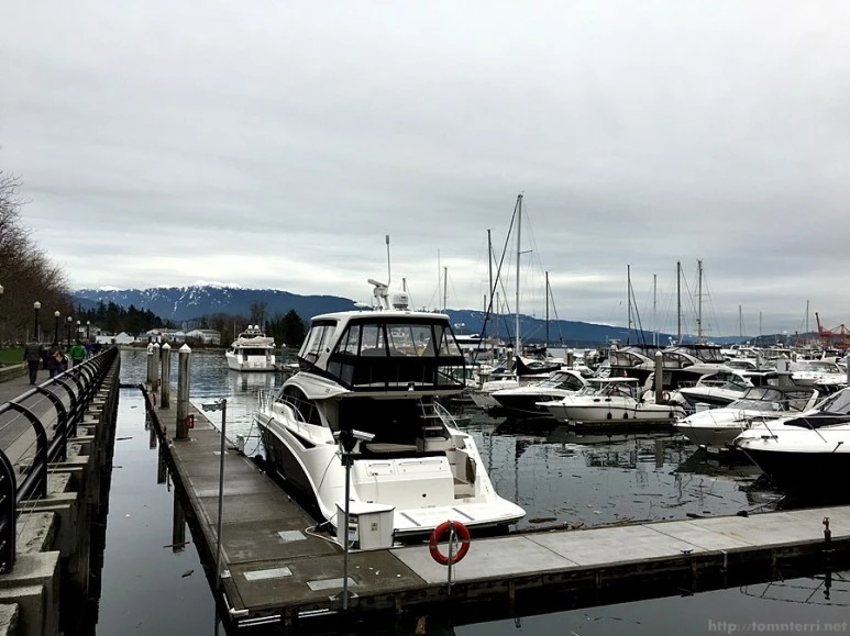 2016-02-08_at_05.41.06.jpg?type=w773