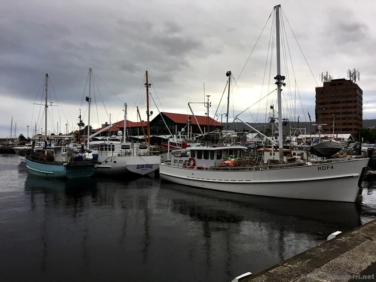 2016-11-24_at_17.03.18.jpg?type=w773