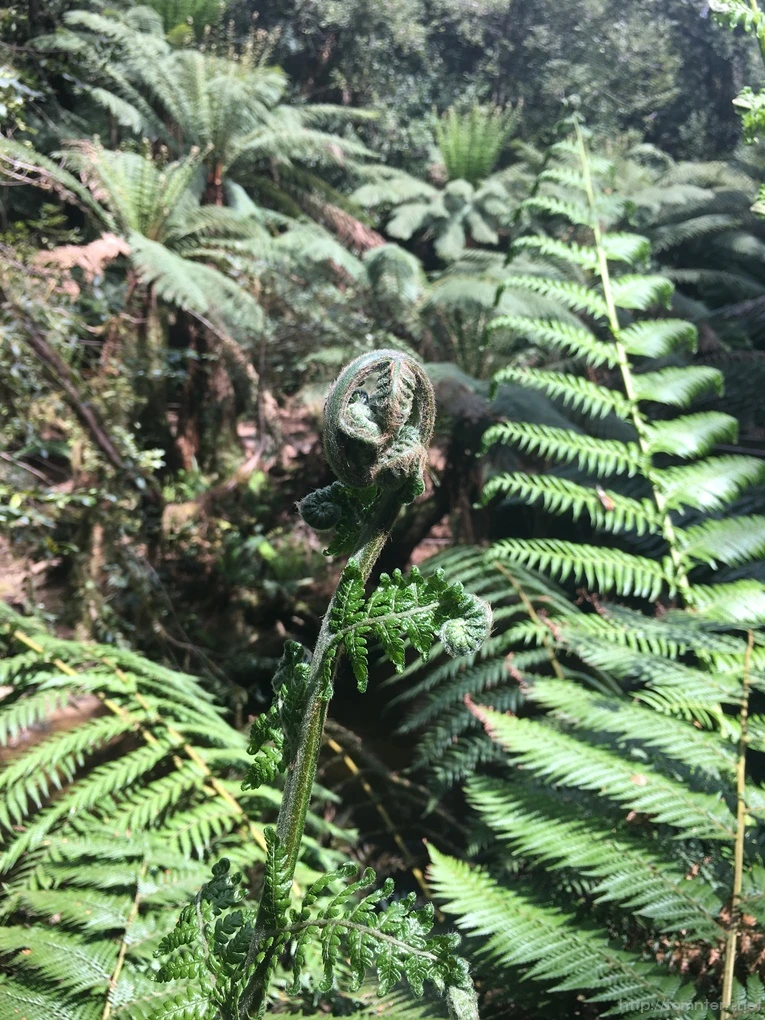 2016-11-21_at_12.54.23.jpg?type=w773