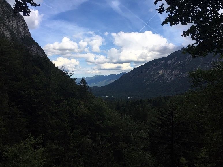 image_123541371467475694113.jpg?type=w773