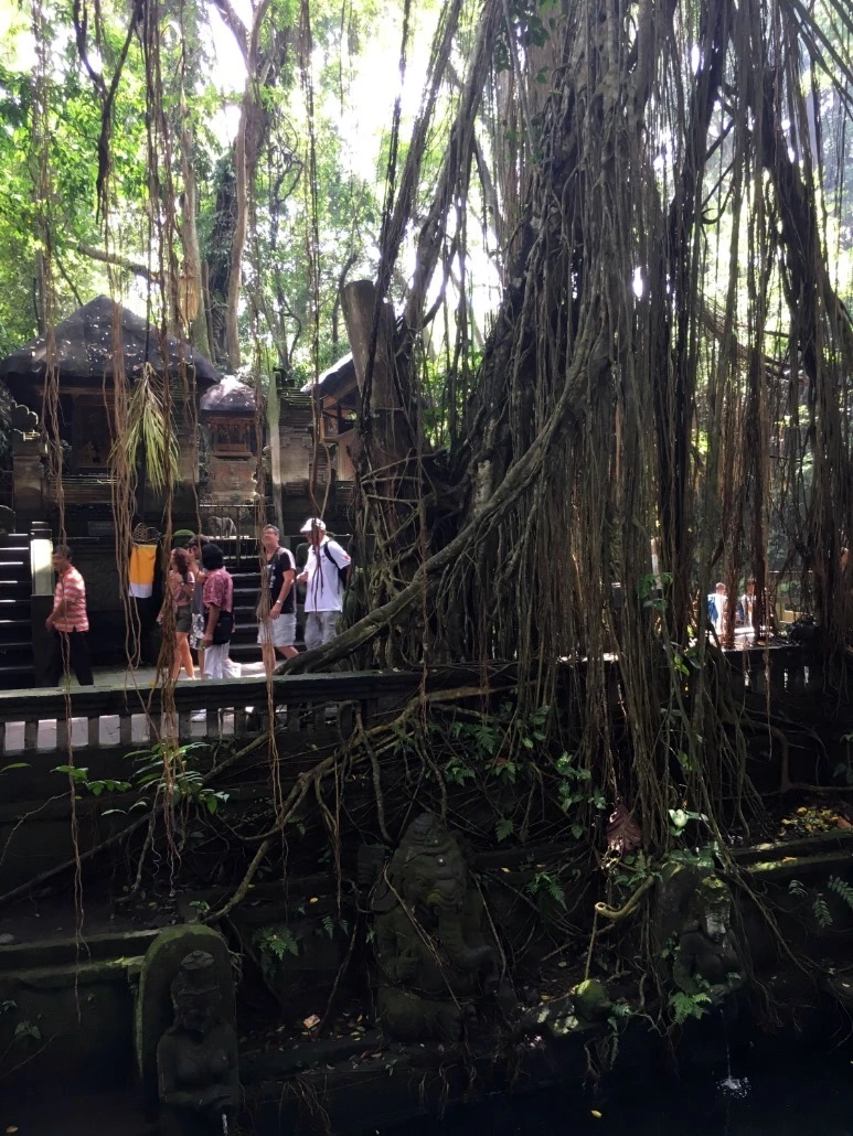 image_436927951476019059046.jpg?type=w773