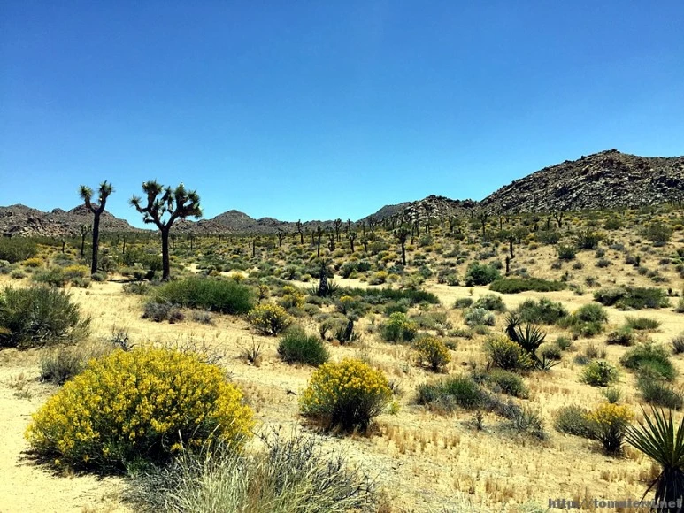 2017-05-05_at_04.52.34.jpg?type=w773