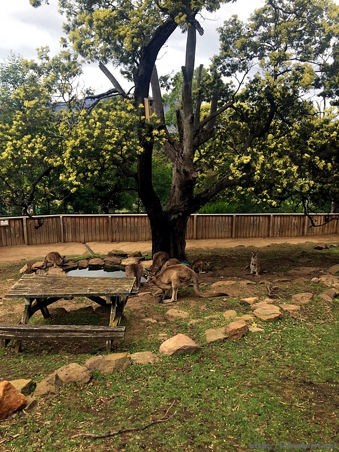 2016-11-25_at_08.45.21.jpg?type=w773