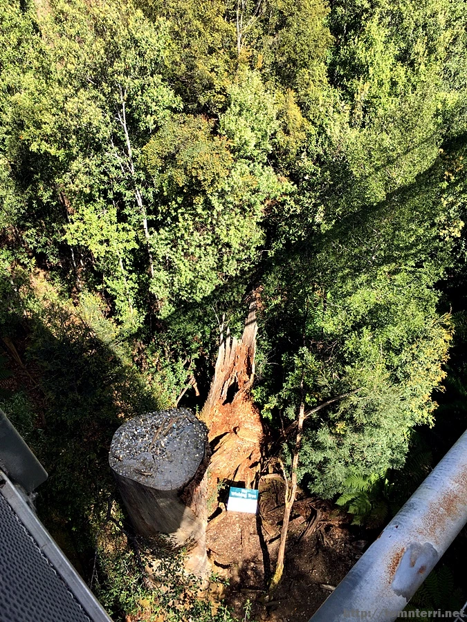 2016-11-24_at_13.05.19.jpg?type=w773