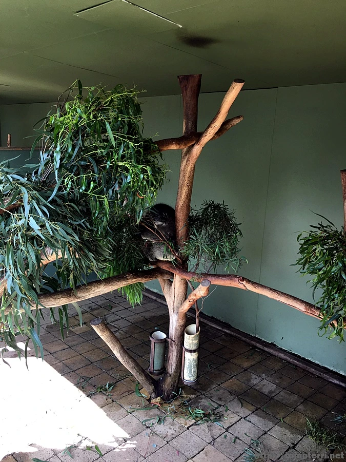 2016-11-25_at_08.28.46.jpg?type=w773