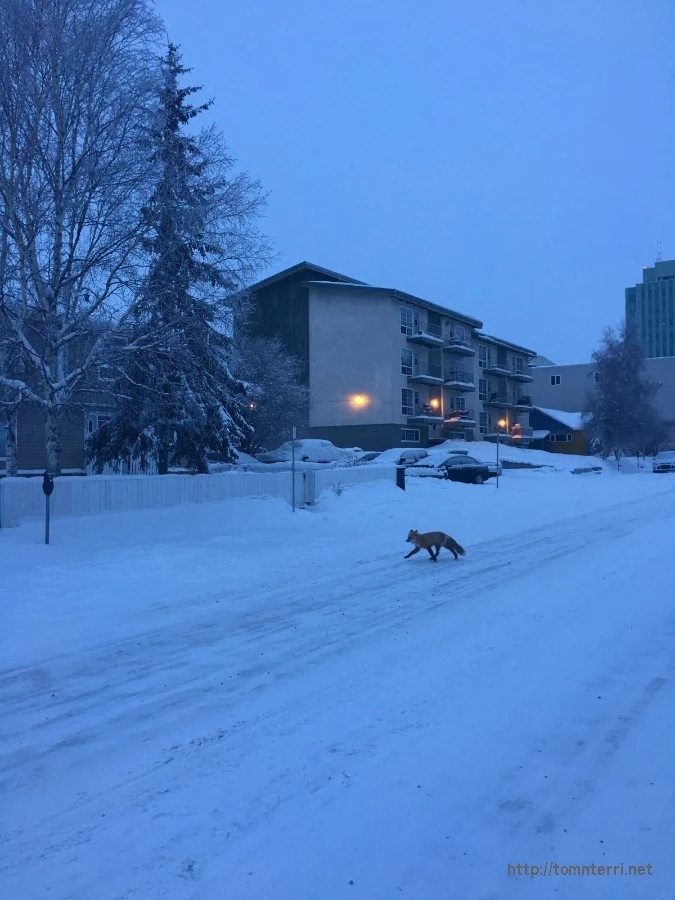 2016-02-07_at_00.47.49.jpg?type=w773