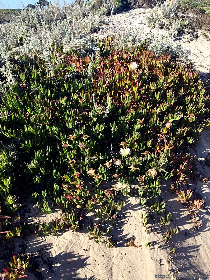 2017-05-02_at_09.59.41.jpg?type=w773