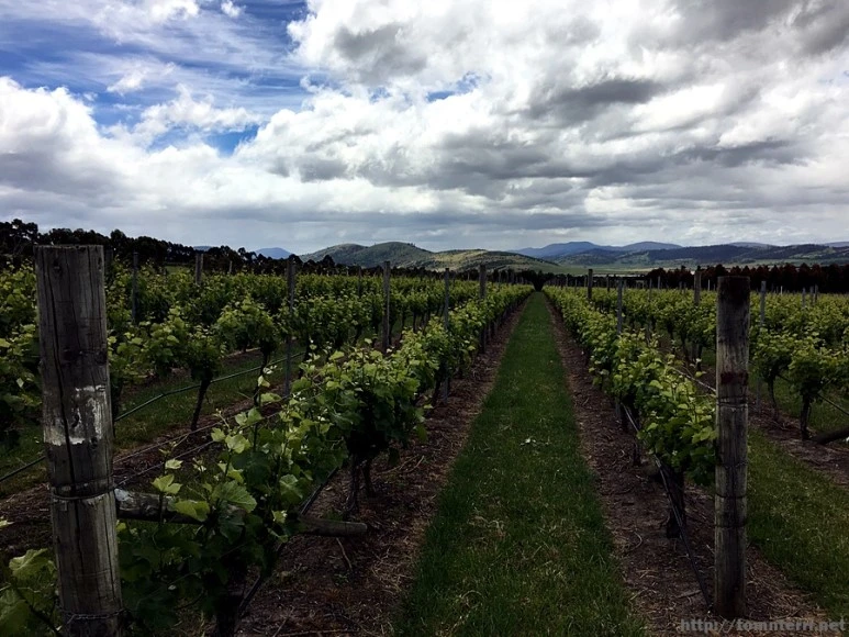 2016-11-25_at_11.08.08.jpg?type=w773