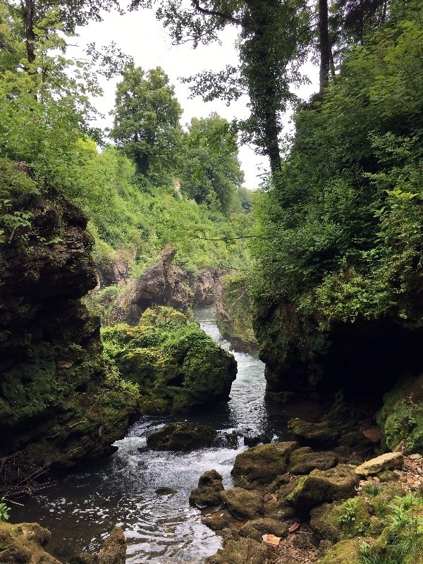 image_6394257461469326596588.jpg?type=w773