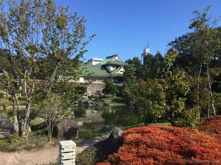 2016-10-16_at_09.23.30.jpg?type=w773