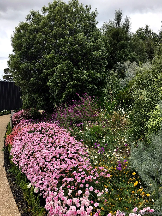 2016-11-25_at_10.55.41.jpg?type=w773