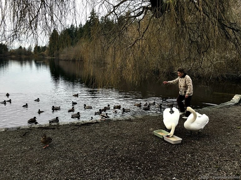 2016-02-08_at_06.17.38.jpg?type=w773