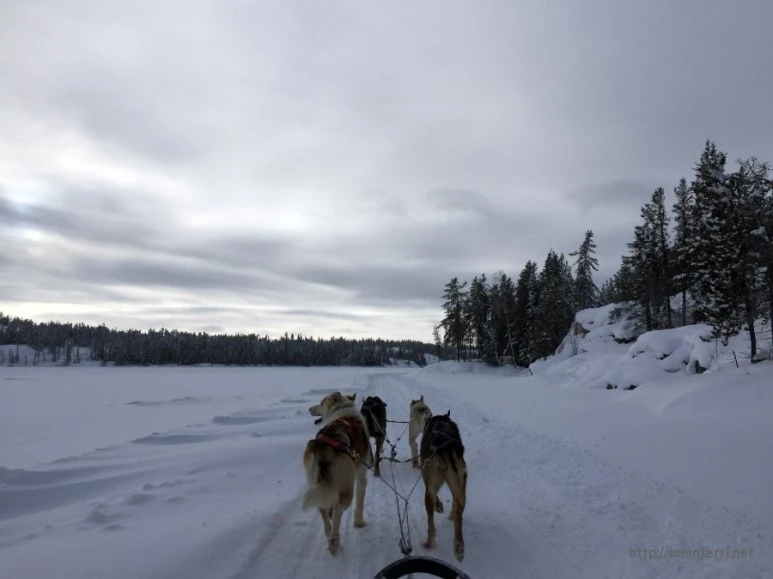 2016-02-07_at_05.53.09.jpg?type=w773