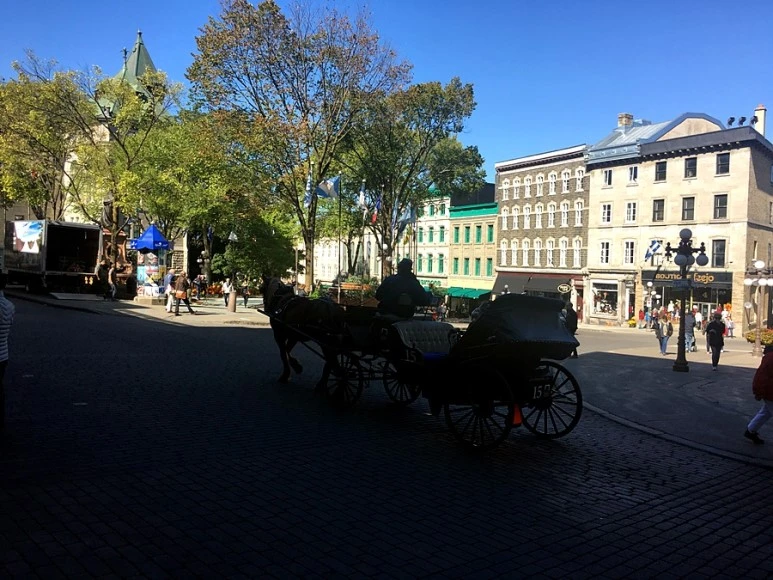 2017-10-03_at_01.20.09.JPG?type=w773