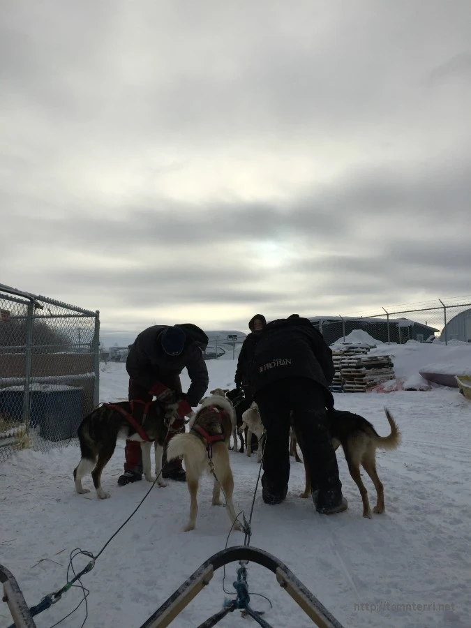 2016-02-07_at_05.42.19.jpg?type=w773