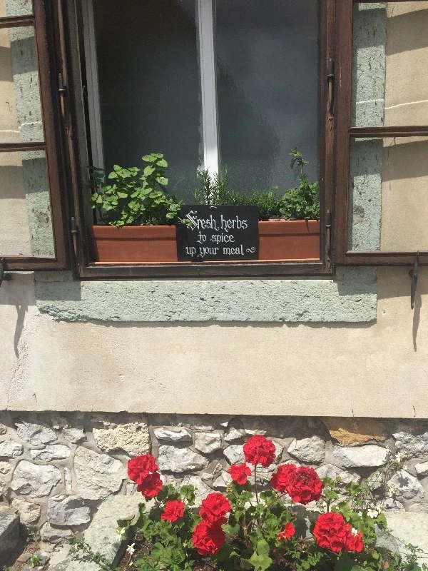 image_136783991467473190066.jpg?type=w773