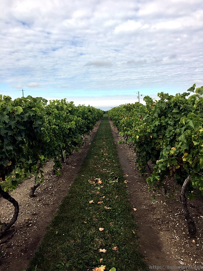 2017-10-13_at_03.53.14.jpg?type=w773