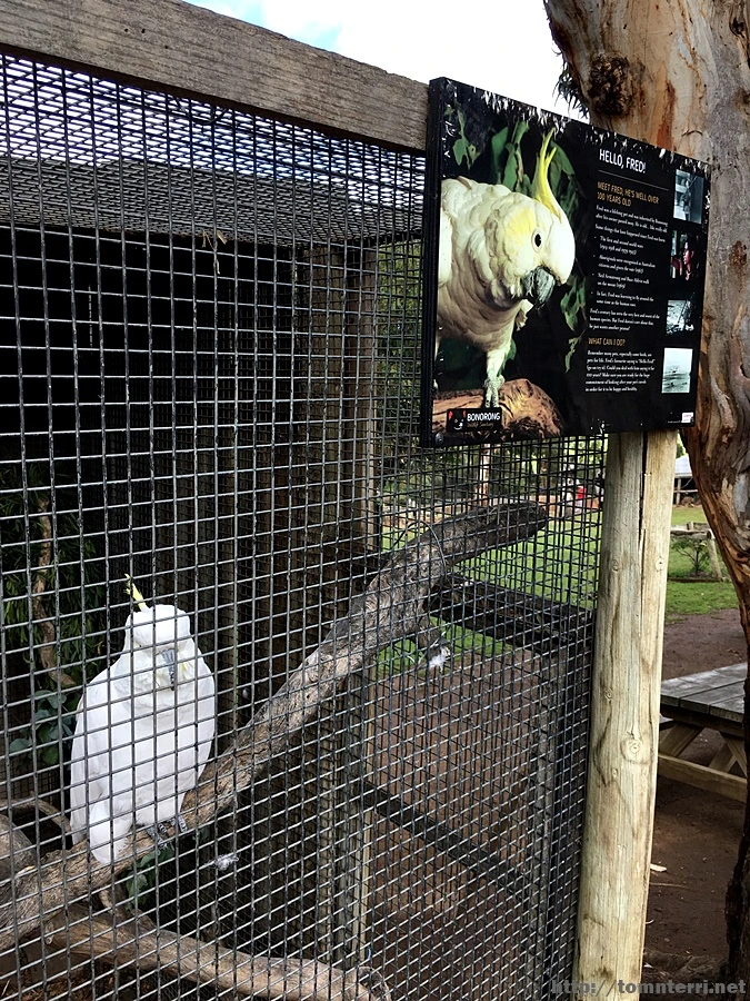 2016-11-25_at_09.13.01.jpg?type=w773