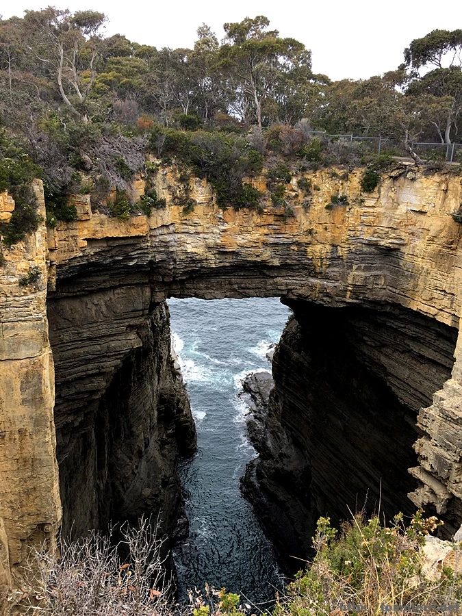 2016-11-23_at_12.21.49.jpg?type=w773