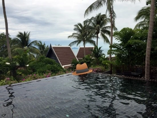 2015-07-21_at_12.42.04.jpg?type=w2