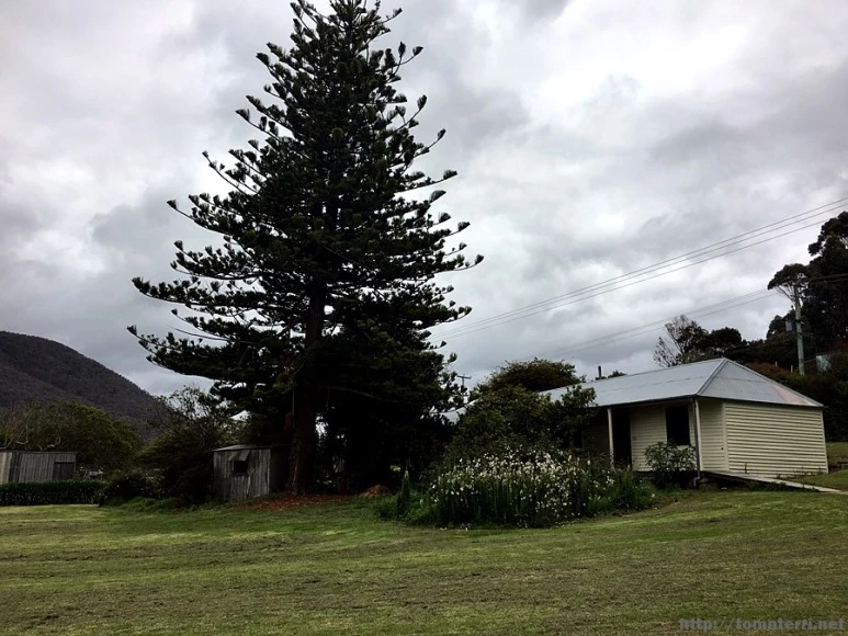 2016-11-23_at_11.46.57.jpg?type=w773