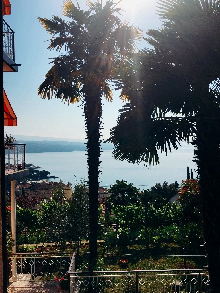 image_1045182931469335659509.jpg?type=w773