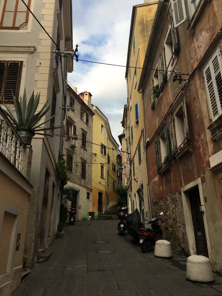 image_6599881051467468802031.jpg?type=w773