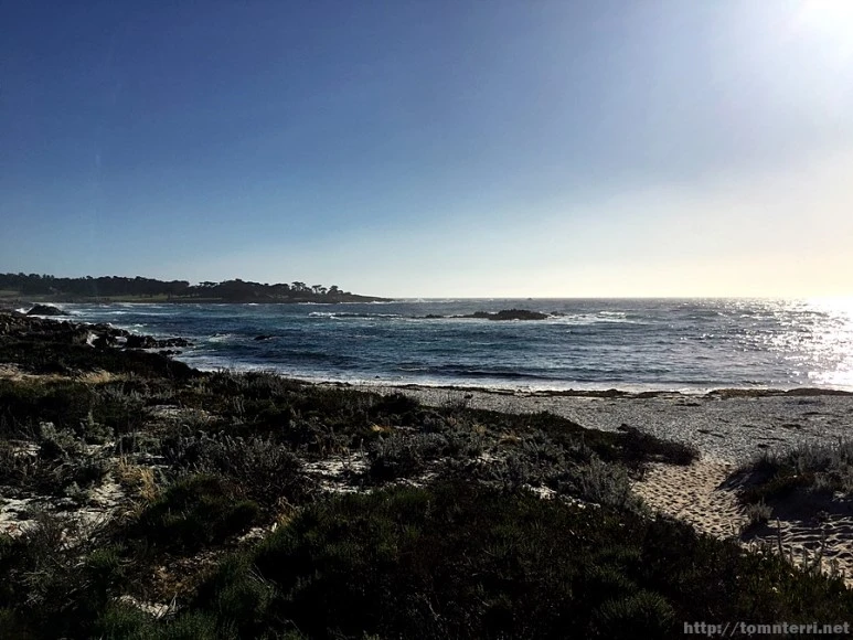 2017-05-02_at_09.57.11.jpg?type=w773