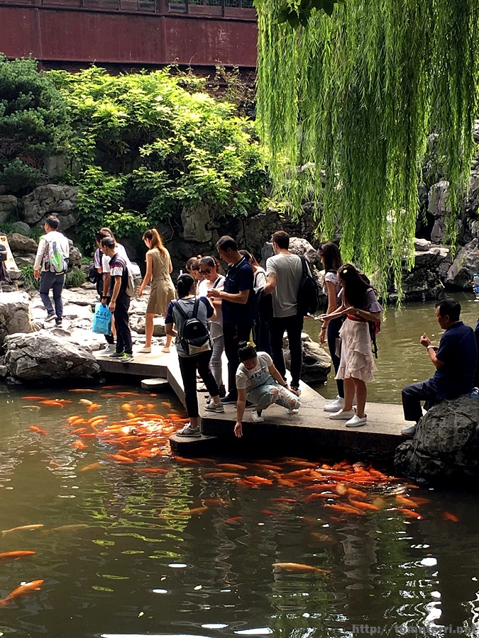 2017-10-01_at_14.31.42.JPG?type=w773