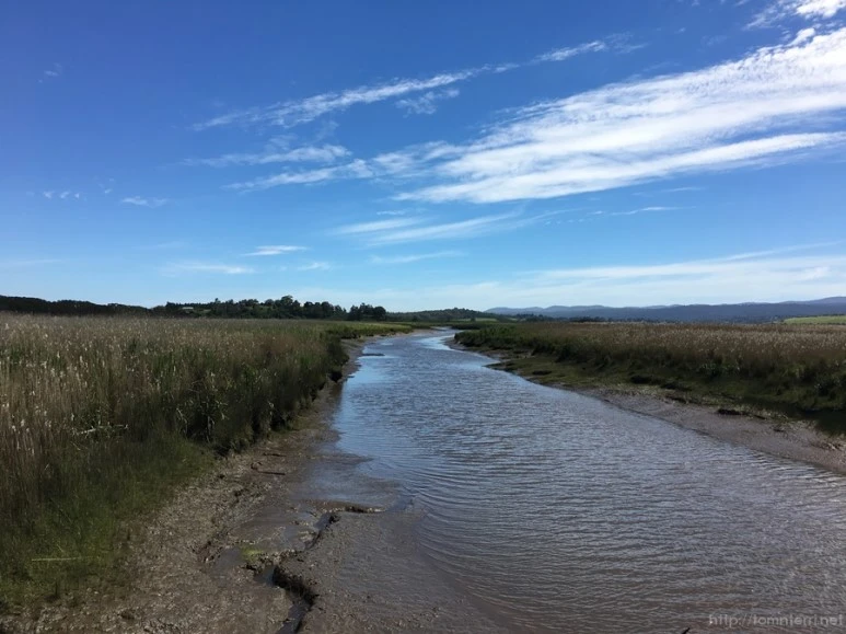 2016-11-20_at_09.20.22.jpg?type=w773