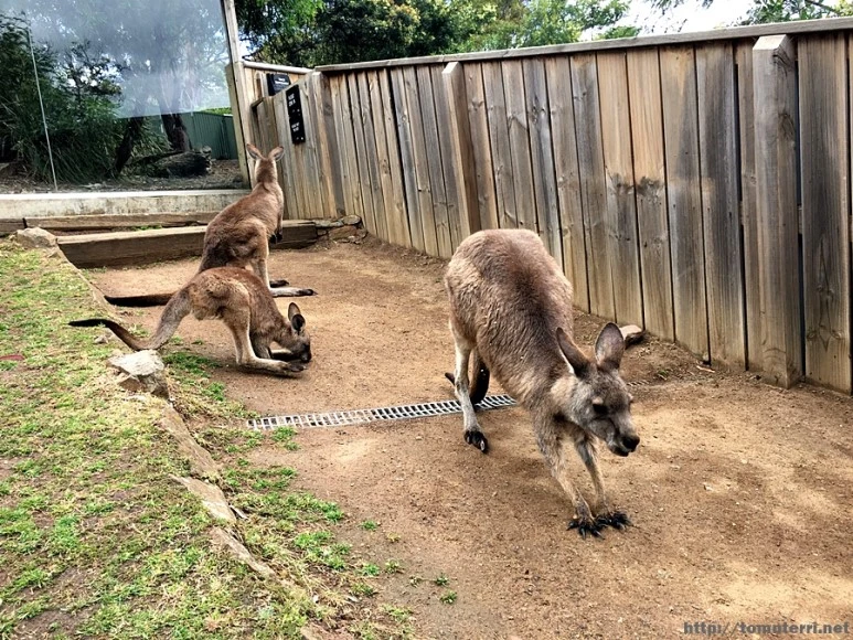 2016-11-25_at_08.47.59.jpg?type=w773