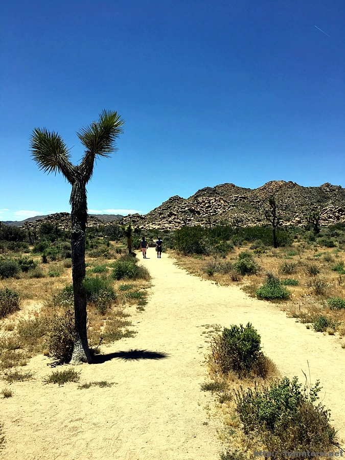 2017-05-05_at_05.04.05.jpg?type=w773