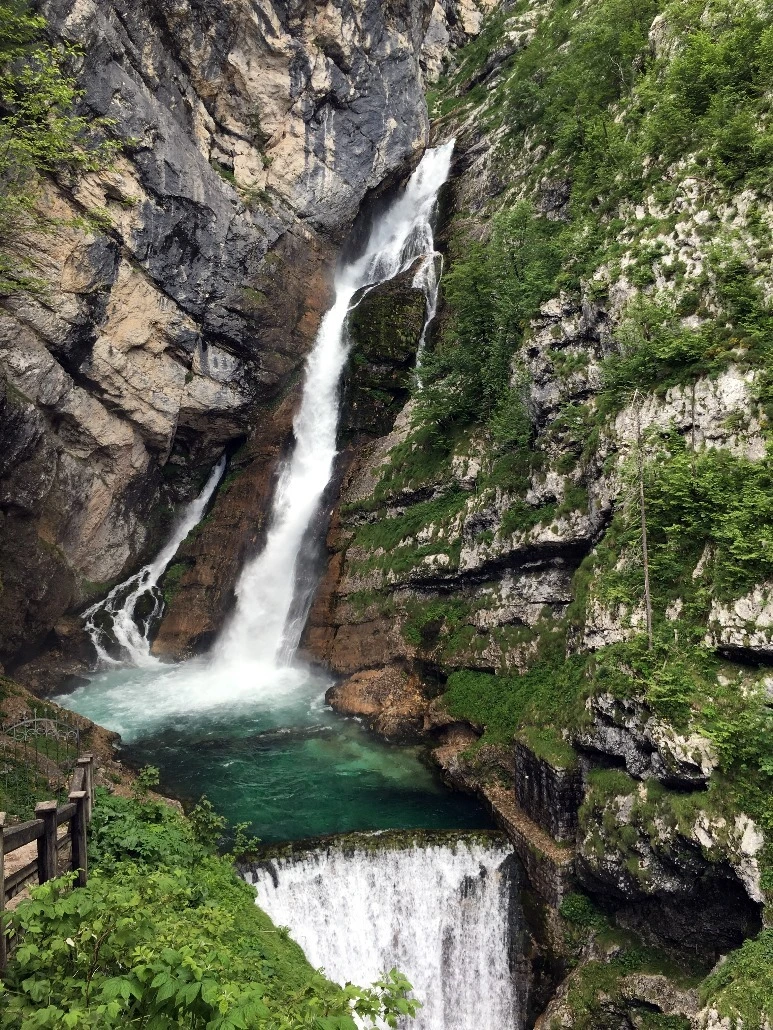 image_5097690541467475139277.jpg?type=w773