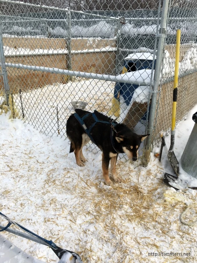 2016-02-07_at_05.38.59.jpg?type=w773