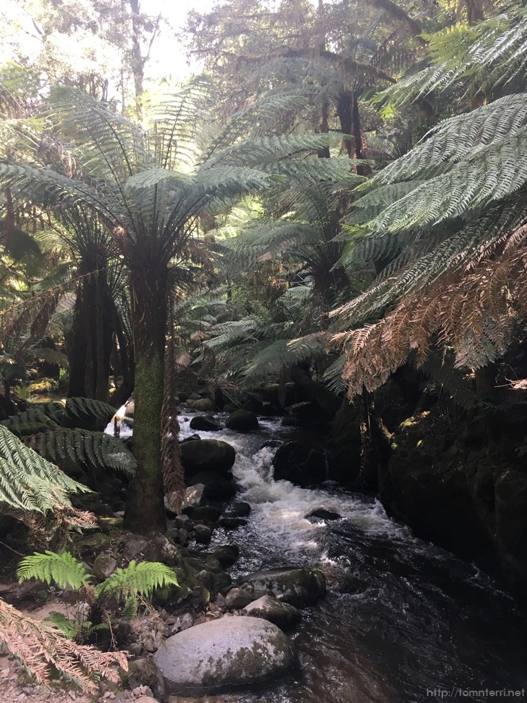 2016-11-21_at_12.47.15.jpg?type=w773