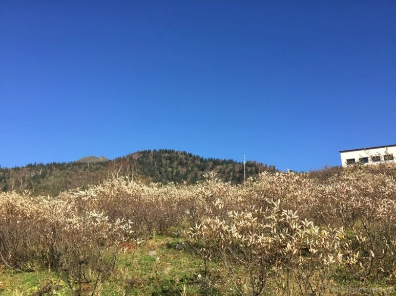 2016-10-15_at_15.03.42.jpg?type=w773