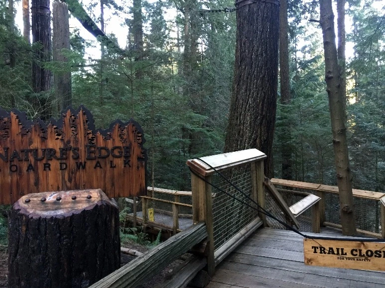 image_3050745581469348818420.jpg?type=w773