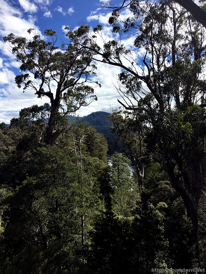 2016-11-24_at_13.15.31.jpg?type=w773